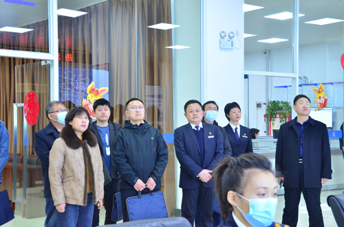 國務院安委辦專家組一行來集團調(diào)研